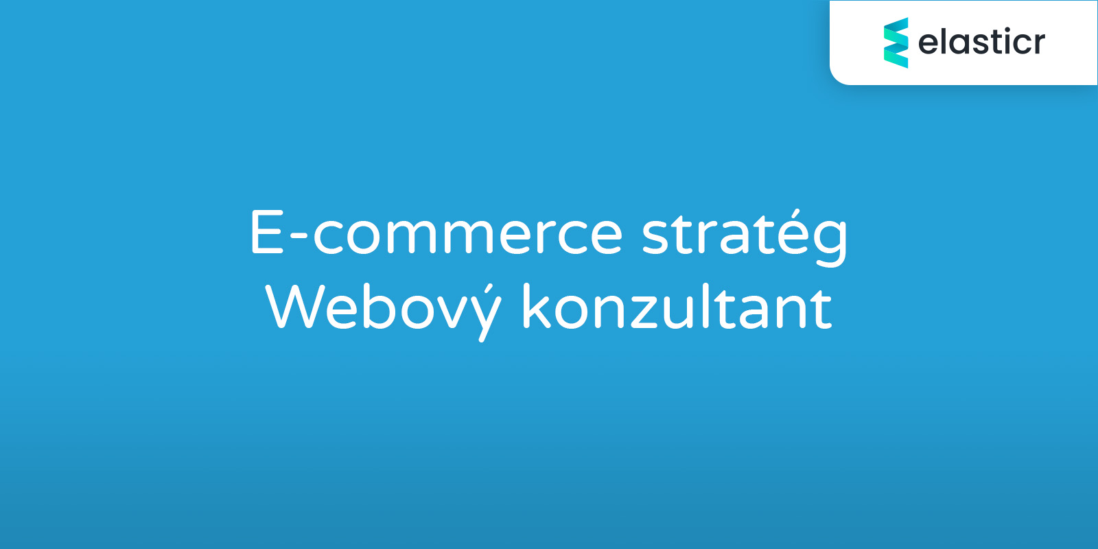 E-commerce stratég / Webový konzultant