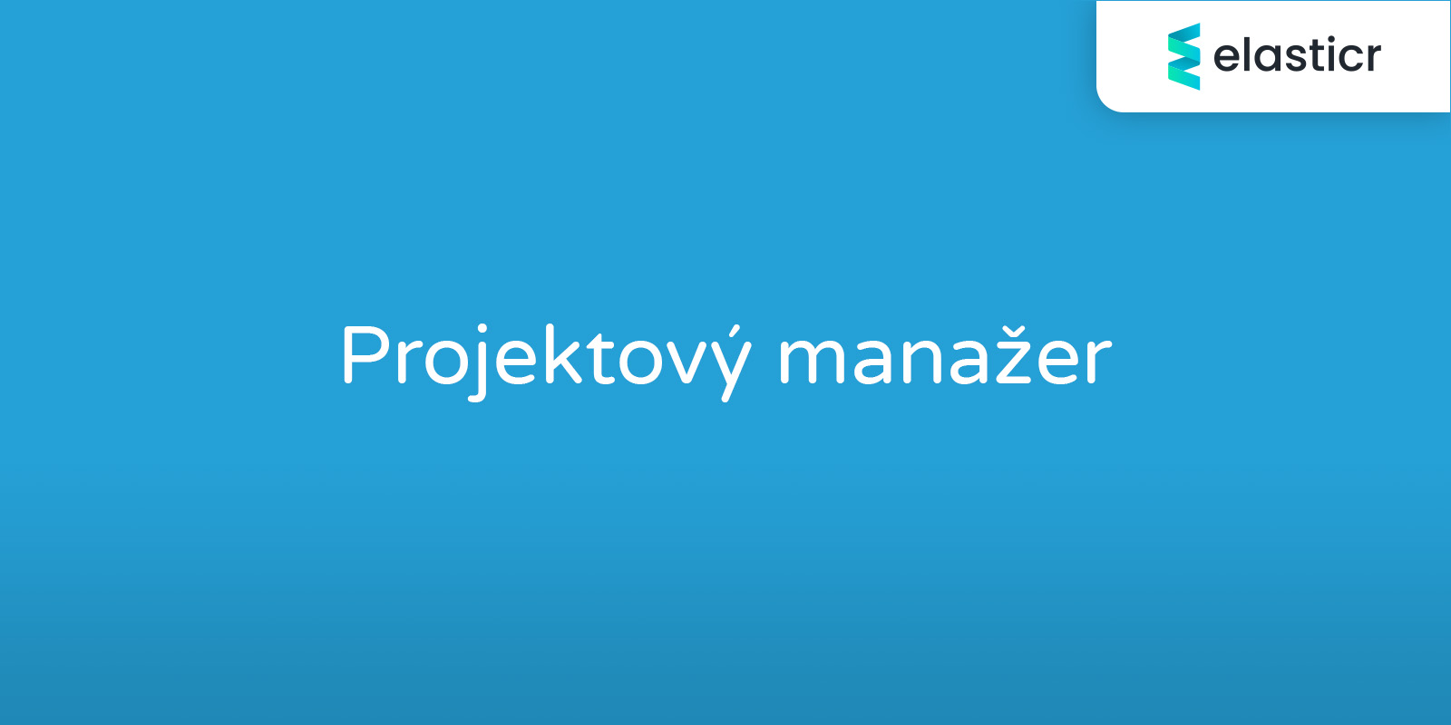 Projektový manažer